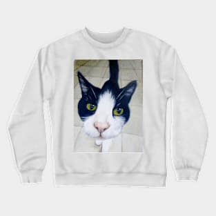 Buddy Crewneck Sweatshirt